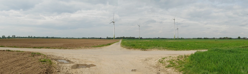 Eine Wegkreuzung auf freiem Feld. Links der Kreuzung ist ein gepflügter Acker, rechts ein Feld auf dem grüne Halme stehe. Am Horizont sind Windkraftwerke und Bäume zu sehen.