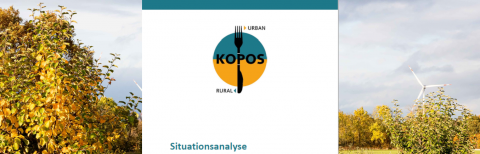 Deckblatt der Situationanalyse KOPOS