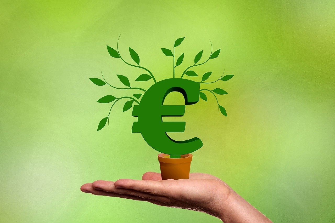 Ein grünes Eurozeichen in einem Blumentopf, auf einer ausgestreckten Hand. Aus dem grünen Eurozeichen wachsen Zwige mit Blättern.