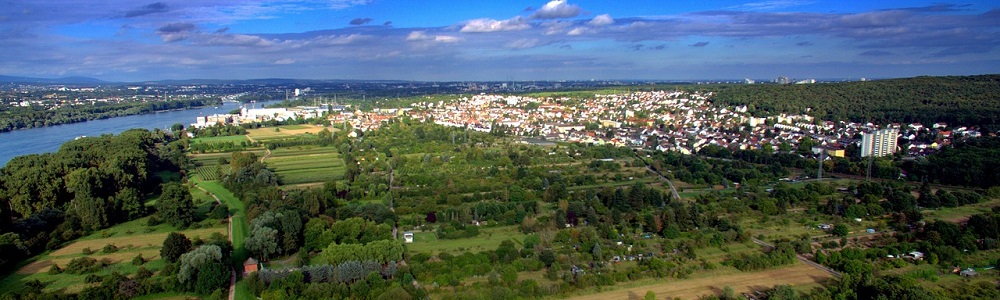 Luftbild einer Landschaft. Im Vordergrund sind Kleingärten, Fledern und Wälder, dahinter eine Stadt mit Industrie, großen und kleinen Häsuern. Links ein Fluss.